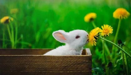 开云品牌-国足失利，媒体标题文案痛彻心扉，国足总结失败 低估对手