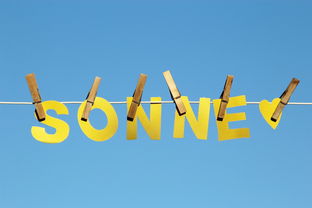 开云体育-体育新闻中心公告全国夏季赛事气象应急预案，赛事应急预案模板