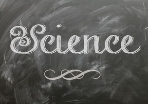 开云注册网址-麦考领袖风范：全黑队胜利的灵魂人物，麦考3个总冠军